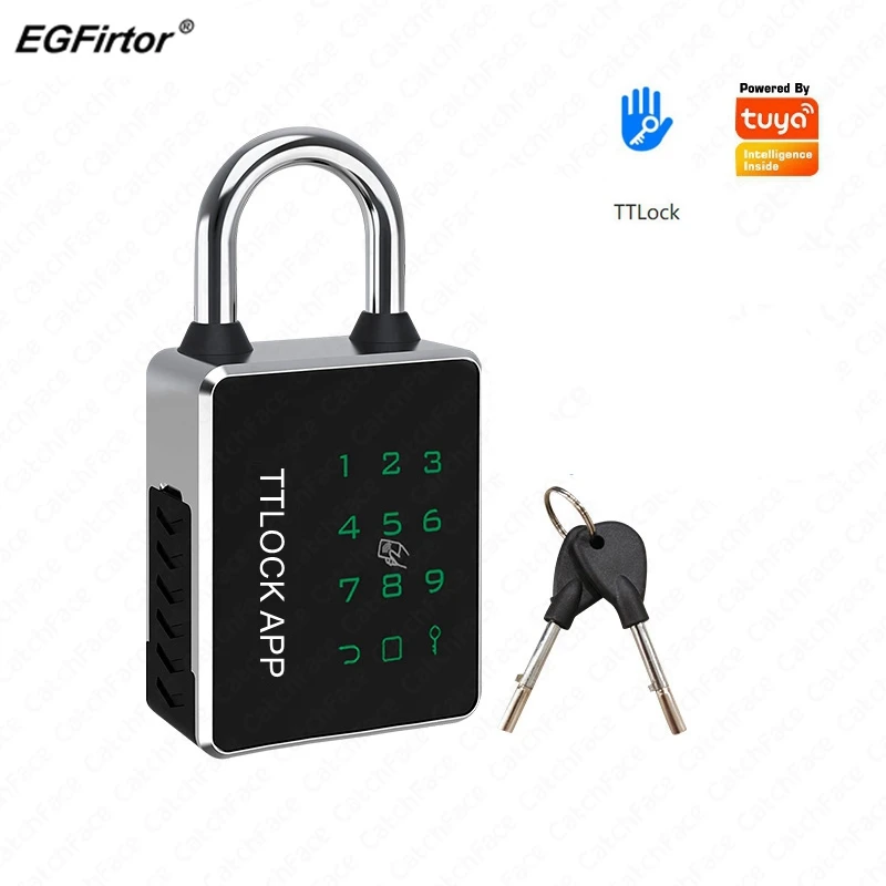 EGFirtor TTLOCK 자물쇠 투야 앱 IC 카드 RFID 암호 키 NFC 잠금 해제 방식, 방수 IP65 블루투스 스마트 전자 도어락 