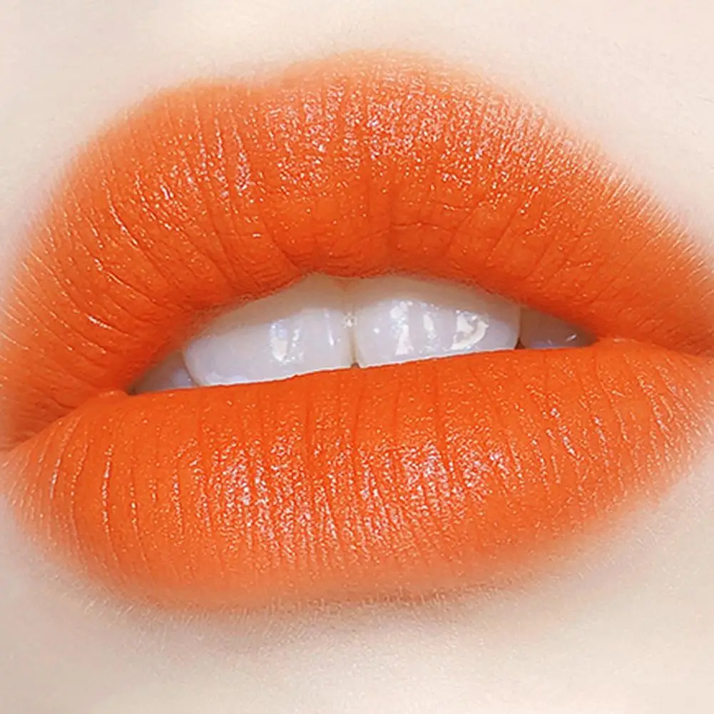 Orange Lipstick Waterproof Long Lasting Matte Lipsticks Cosmetic Lip Resistant Stick Tint Women Lip Sexy Lip Makeup Glaze V W9Q1