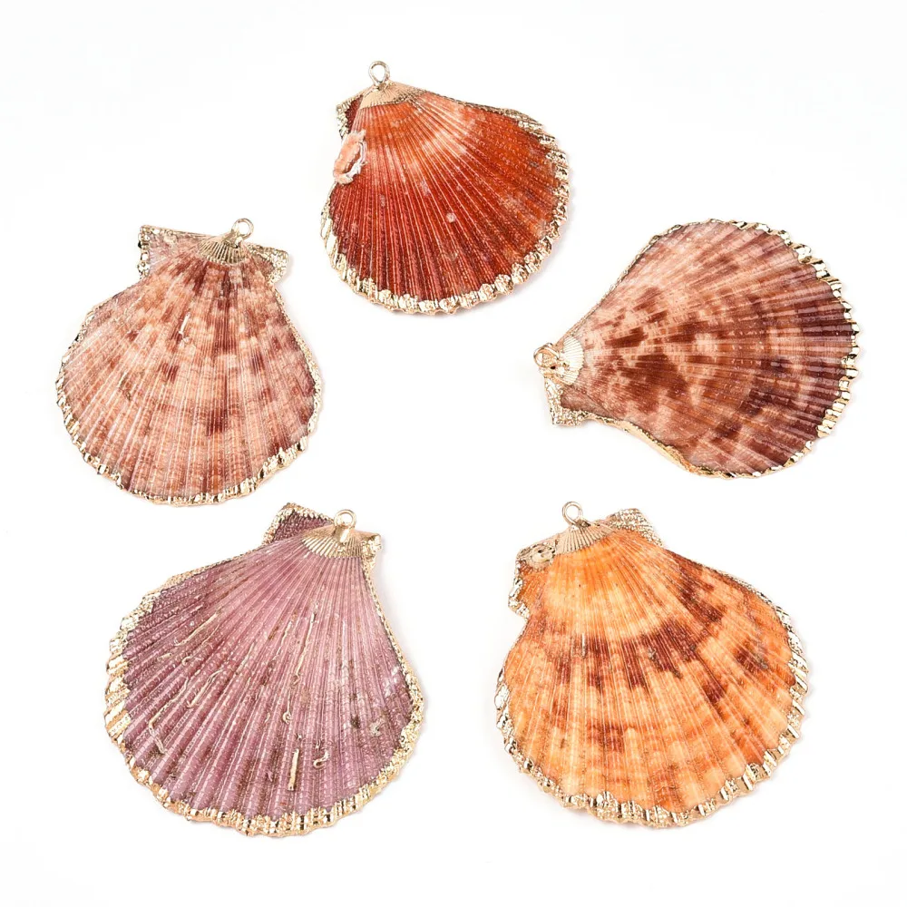 50Pcs Electroplate Sea Shell Pendants, with Light Gold Iron Findings, Colorful,