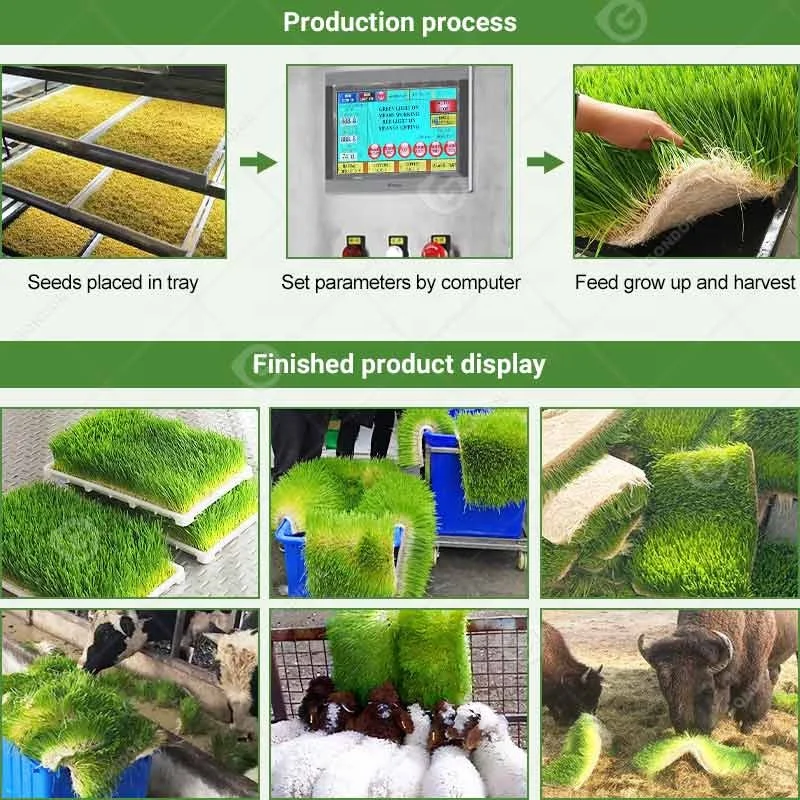 Mushroom Seed Plant Smart Growing Shipping Container Barley Sprouting Make Machine Storage System customize