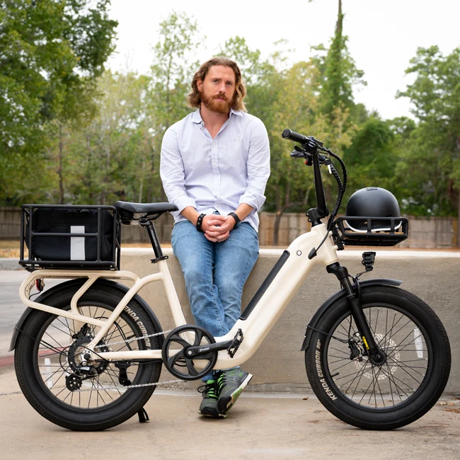 

STLF OEM High Load Capacity Lithium Battery Ebike Suspension Front Fork Bicycle 500w Motor Hydraulic Dis Brake Electric Bikes Bi