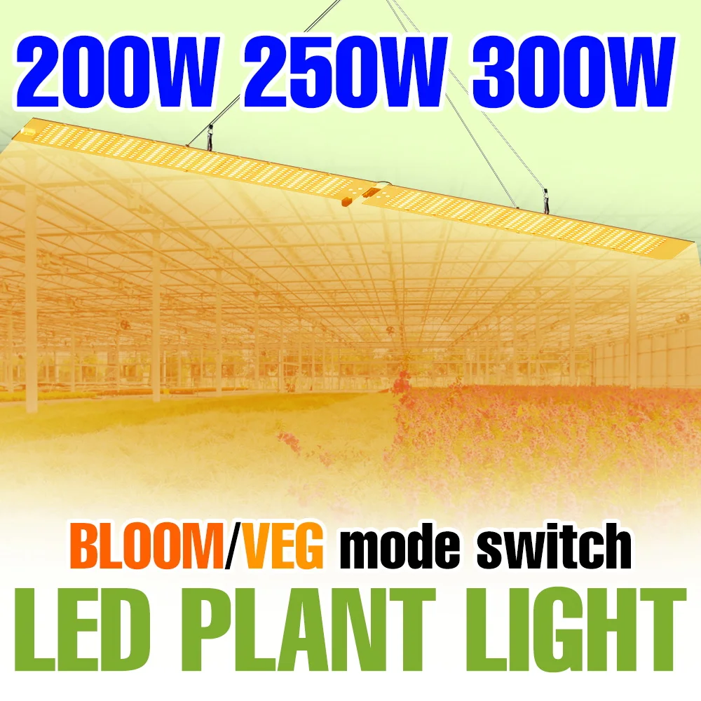 

300 Вт полный спектр светодиодный светильник для растений УФ/ИК квантовая доска тепличная палатка коробка для роста весла сочные гидропонные культивирование освещения