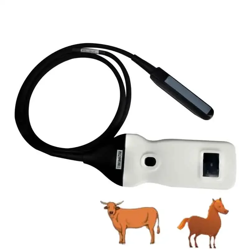 Dawei Farm Use Livestock Mechanical Veterinary Equipment vet Animal Wireless Rectal Probe Ultrasound