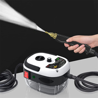 2500W 110V 220V High Pressure And Temperature Handhled Steam Cleaner For Air Conditioner Kitchen Hood Car Steaming Cleaner