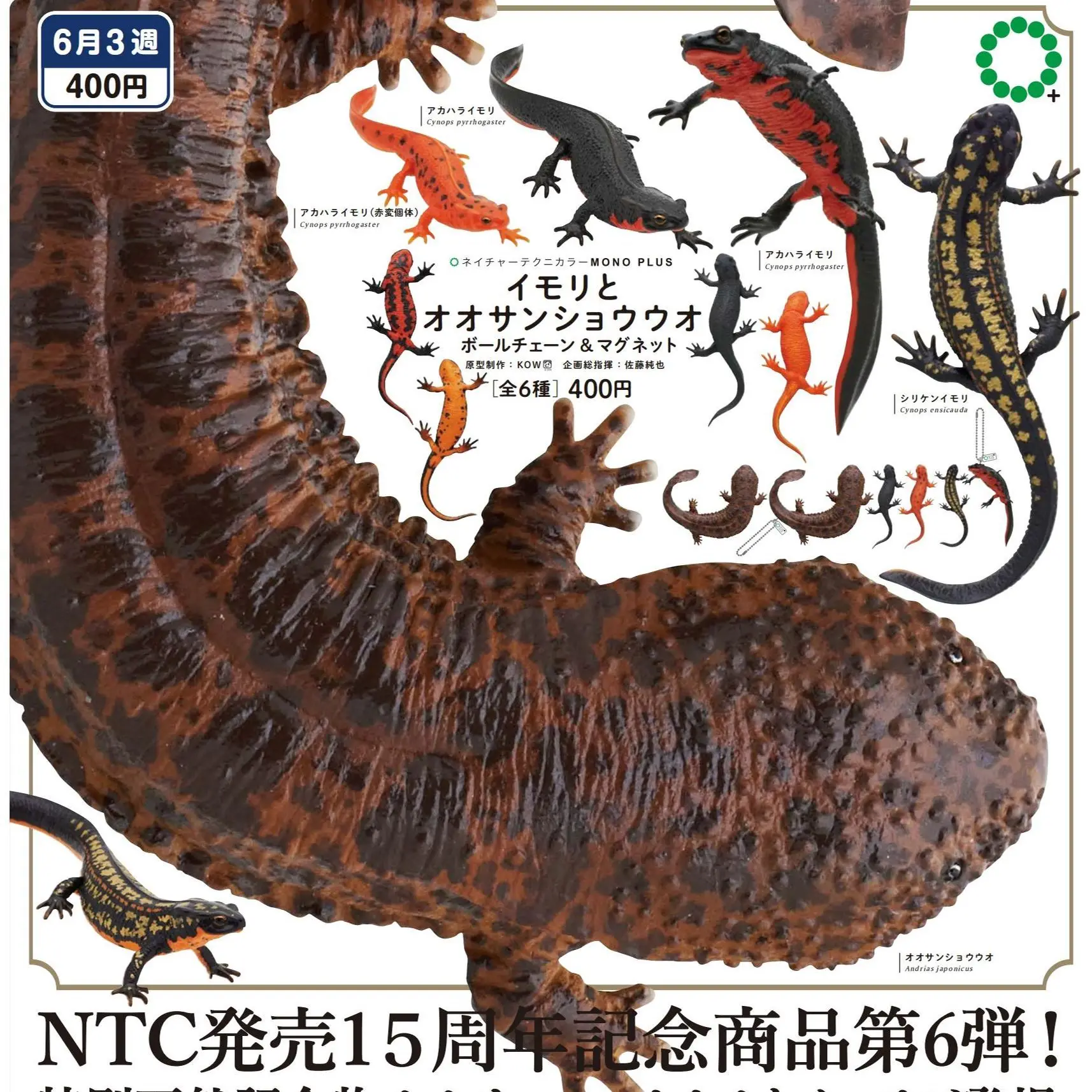 Cápsula japonesa Ikimon Gashapon para mascotas, juguete para gatear, salamandra de Acuario y pimienta grande, reventa de Historia de peces