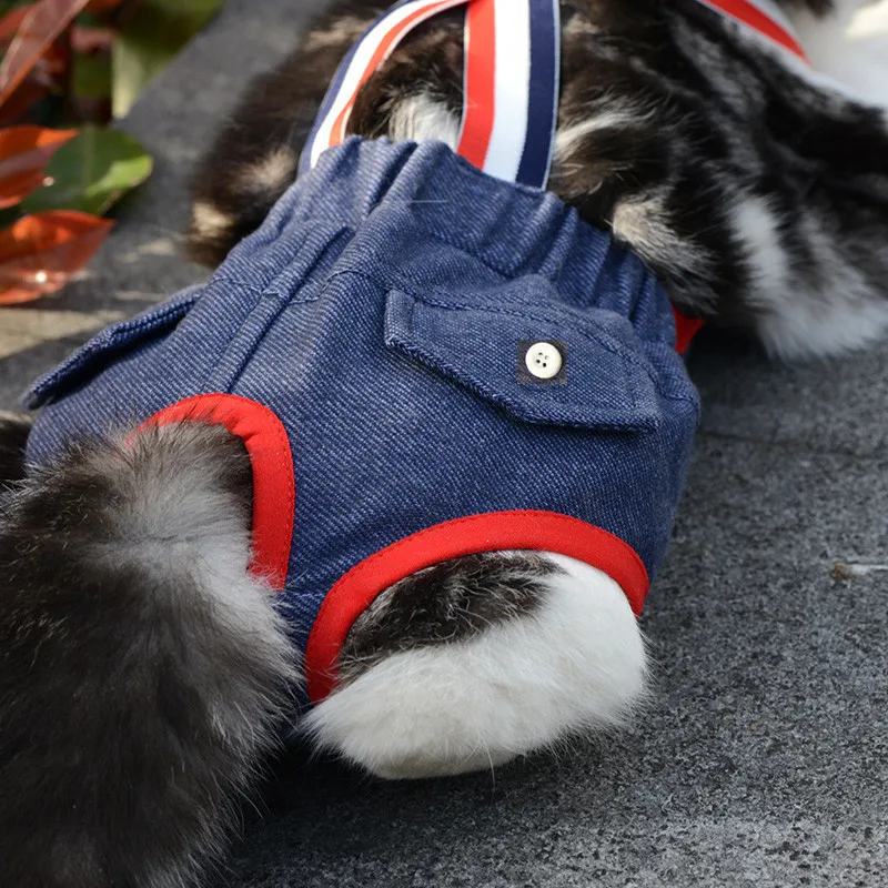 Denim-Höschen für Französische Bulldoggen, physiologische Höschen mit Punkten für weibliche Hunde, Sicherheits- und Hygienehöschen für kleine und mittelgroße Hunde, Katzen, Haustier-Shorts – Detail 10