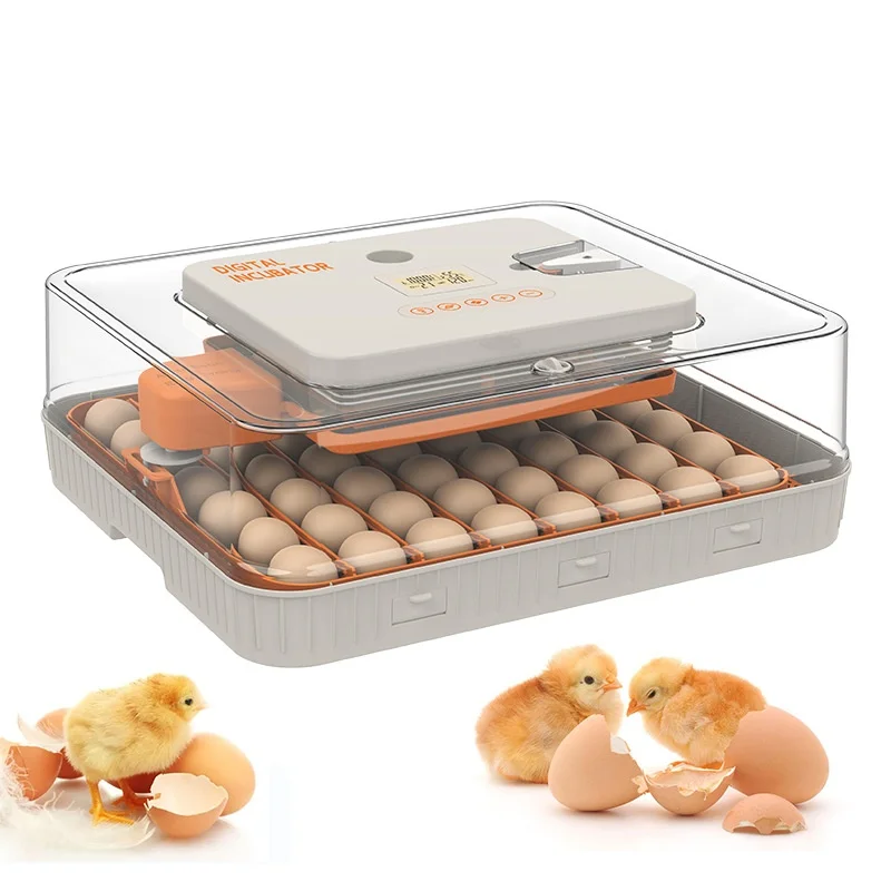 56H Dual Power Supply Egg Incubator One-Click Egg Turning Precise Humidity Control for Quail New Condition Power Outage