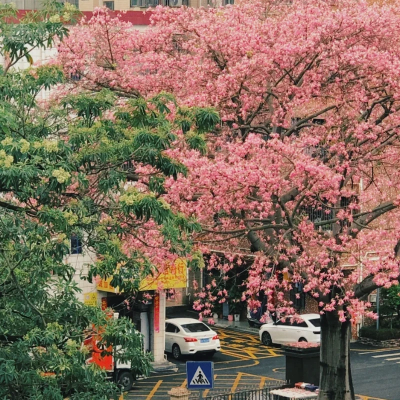 

GEPRC TAKER F722 BLS 50A Stack BLS50A-4IN1 ESC STM32F722 Chip 16M Black Box Cual-Channel BEC FC