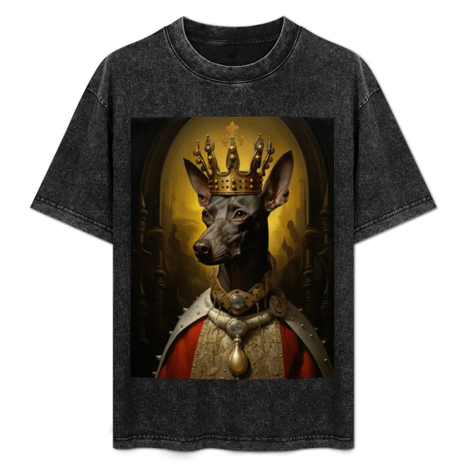 

Xoloitzcuintle Mexican Hairless Dogs Xolo Dogs Art in Old Retro Vintage T-Shirt Moisture Control Sports Tee