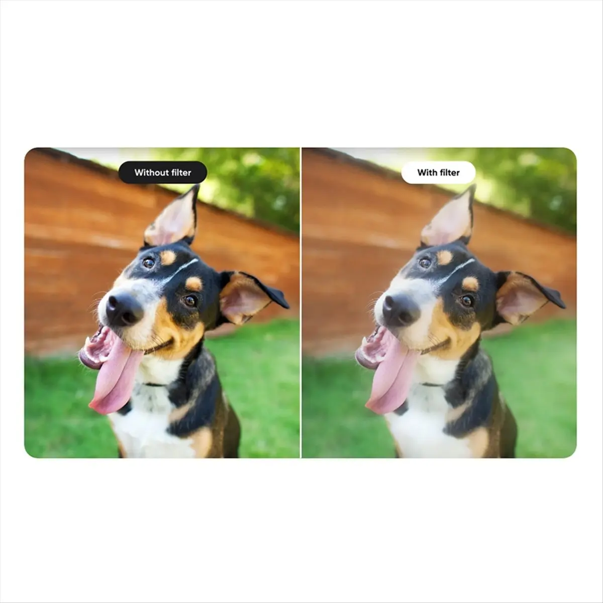 

For Pro 2 Black Soft Filter to Soften and Reduce Portrait Blemishes Camera Accessories