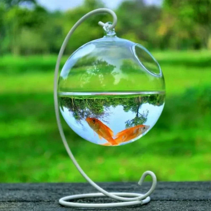 Creative Design Fish Tank Glass Ball Hanging Bracket Fish Tank Transparent Decorative Furniture Ornaments Spherical Aquarium