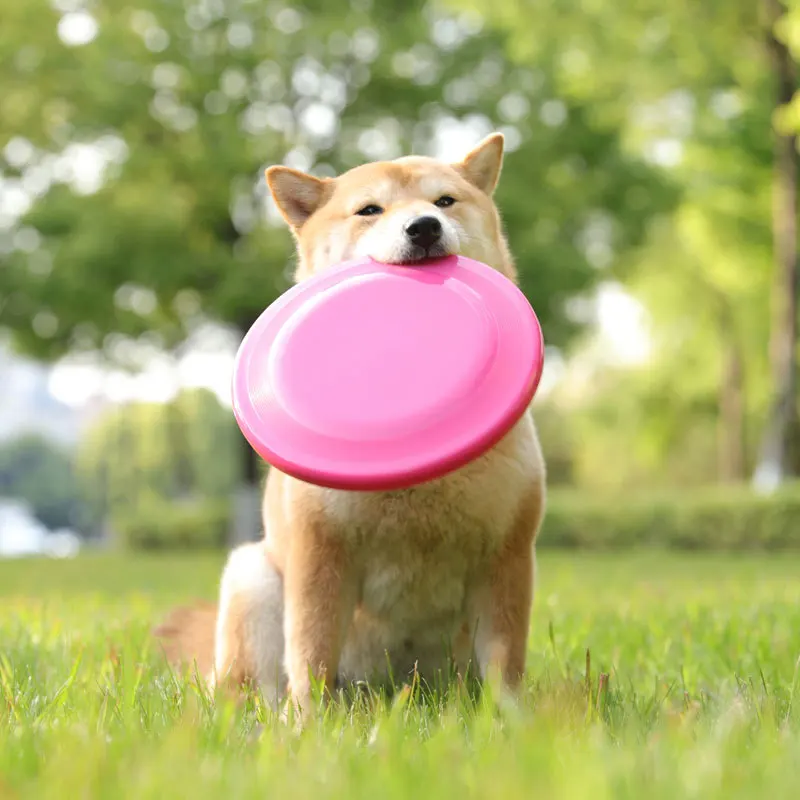 Plastic Frisbee Toy Dog Training Bowl Shape Dog Toy Dog Bowl Throwing Toy Dog Supplies