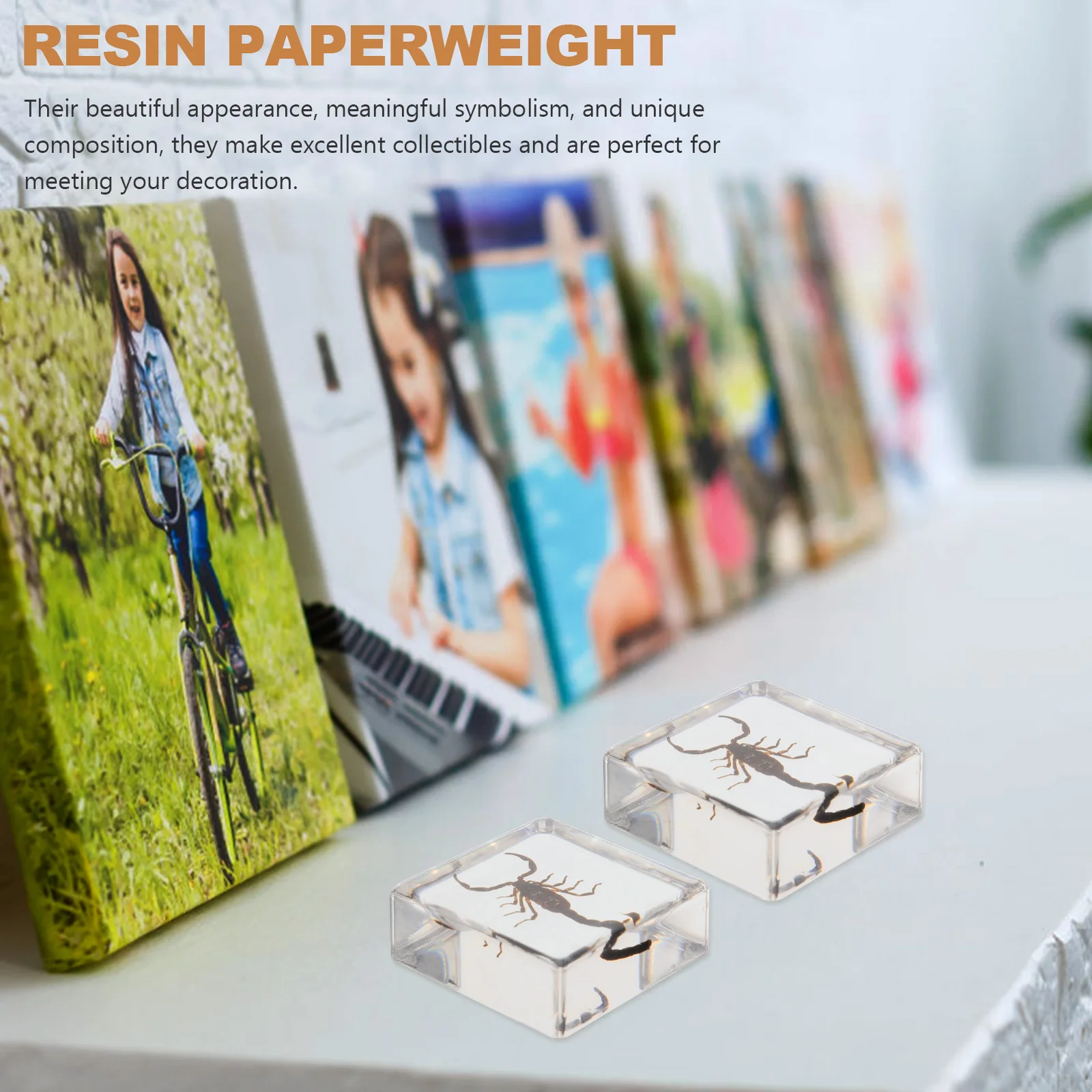 

2 Pcs Insect Book Town Resin Specimen Decor Scorpion Paperweights Desktop Decors Teaching Aids Ornament Collector Gift