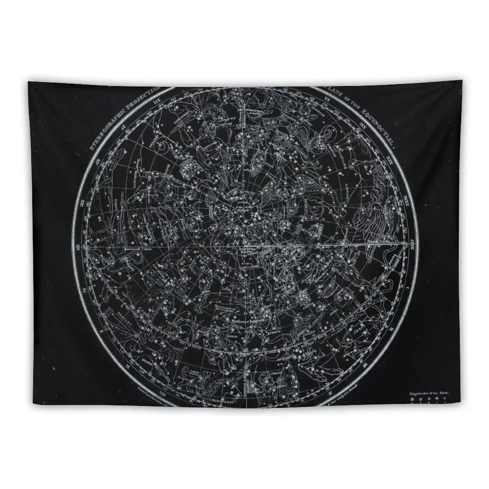 

Constellations of the Northern Hemisphere | Pale Blue On Black Tapestry Things To The Room Wall Decor Hanging Tapestry