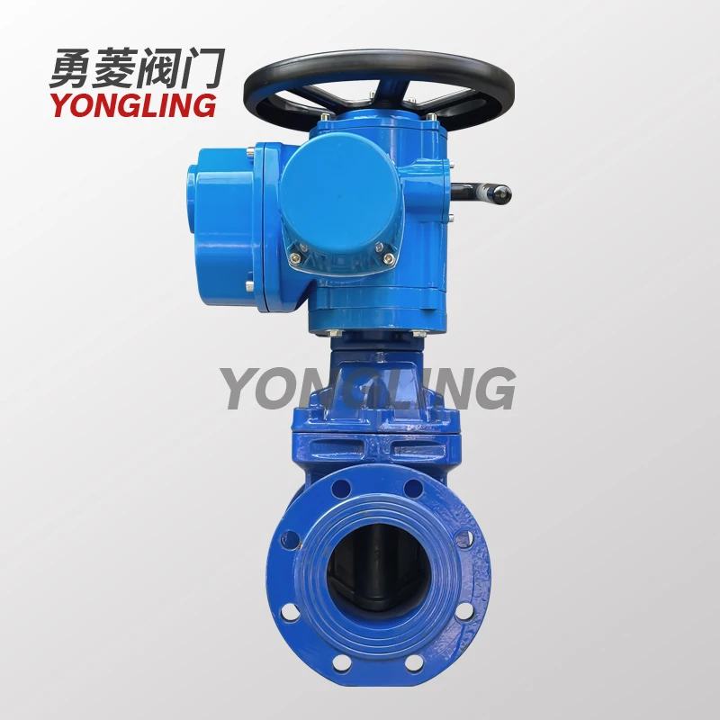 Z945X-16Q Electric Flange Dark Rod Open Rod Gate Valve Municipal Sewage Electric Elastic Soft Seal Gate Valve