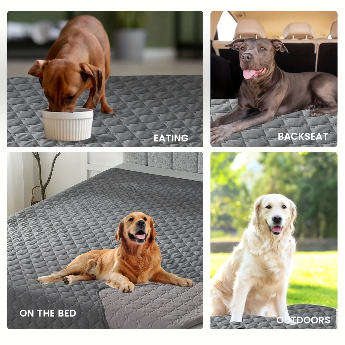 Thumbnail 3 - #72 Best Dog Beds to Buy In 2026