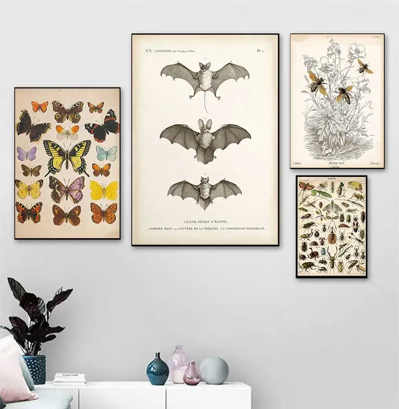 Vintage Bat Insect Print Halloween Wall Art Oil Painting Antique Bee Animal Poster Living Room Home Decoration Mural