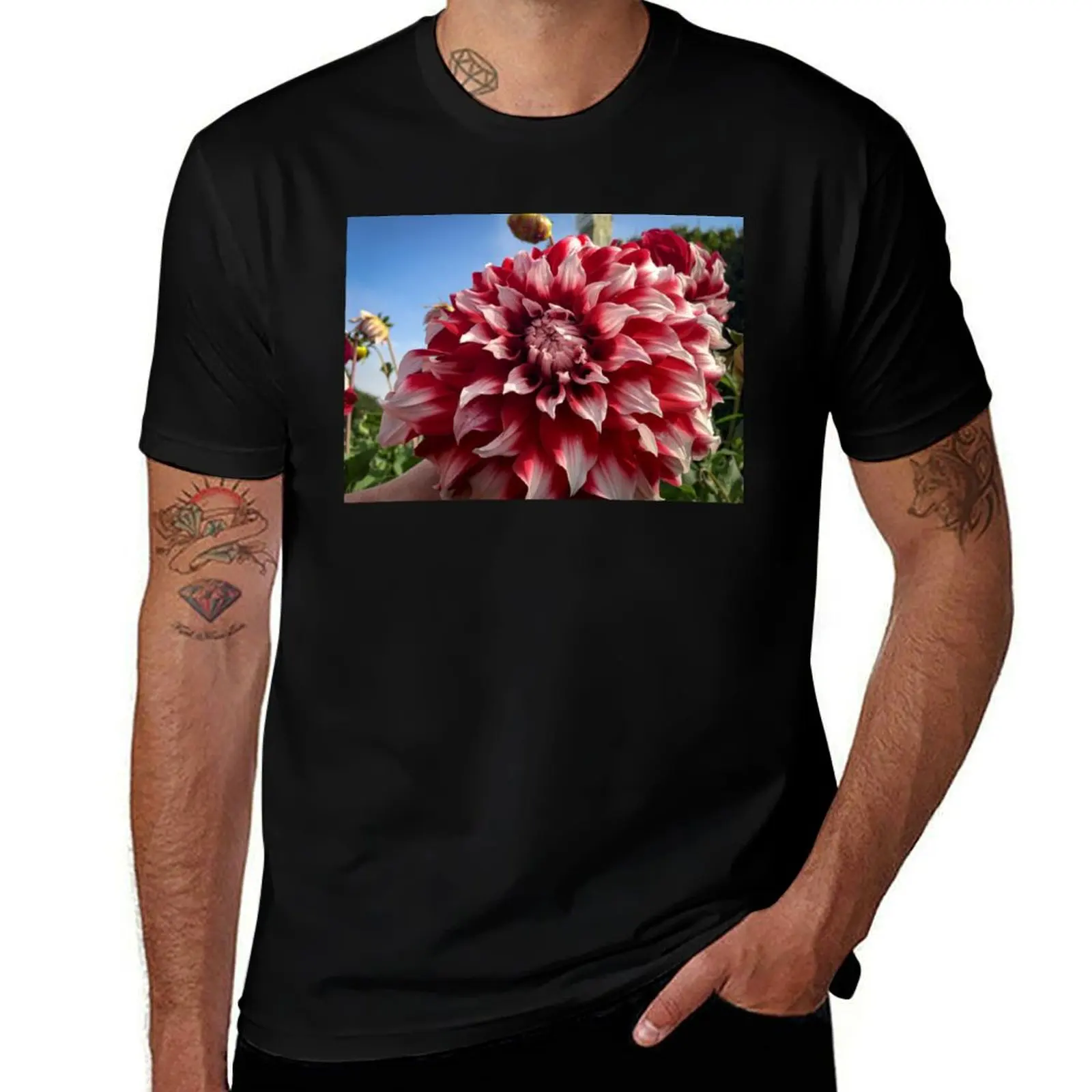 Red and White Decorative Dahlia Flower Bloom. Checkers, David Howard variety 044 T-Shirt Halloween Casual T-Shirt