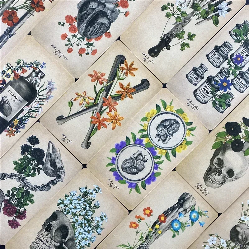 The Antique Anatomy Tarots Deck Full English Divination Oracle Cards PDF Guidebook Board Game #2