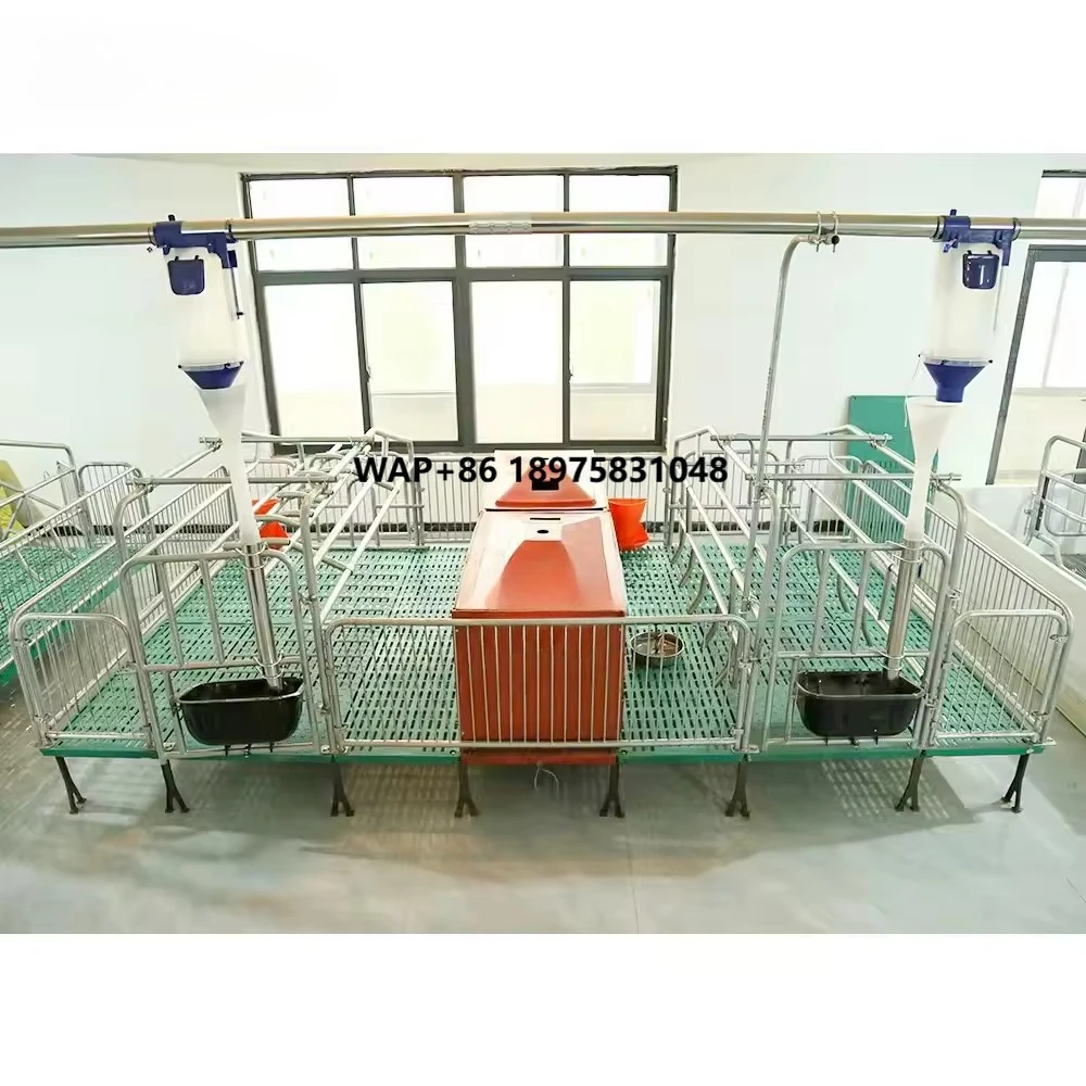 Best Selling Double Pig Sow Farrowing Bed/Cage/Crates/pen Hot Dip Galvanized Composite Floor Material New Condition