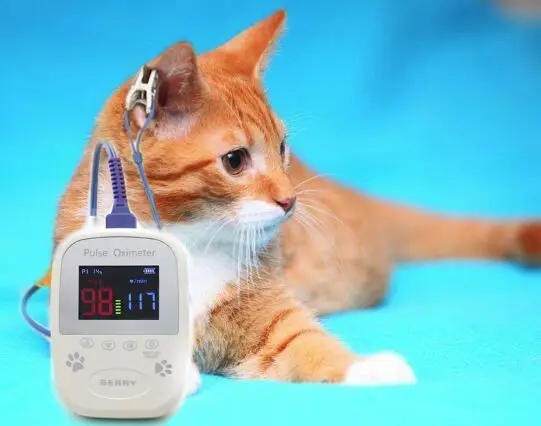 hot selling high quality vet product medical veterinary equipment for vet pet