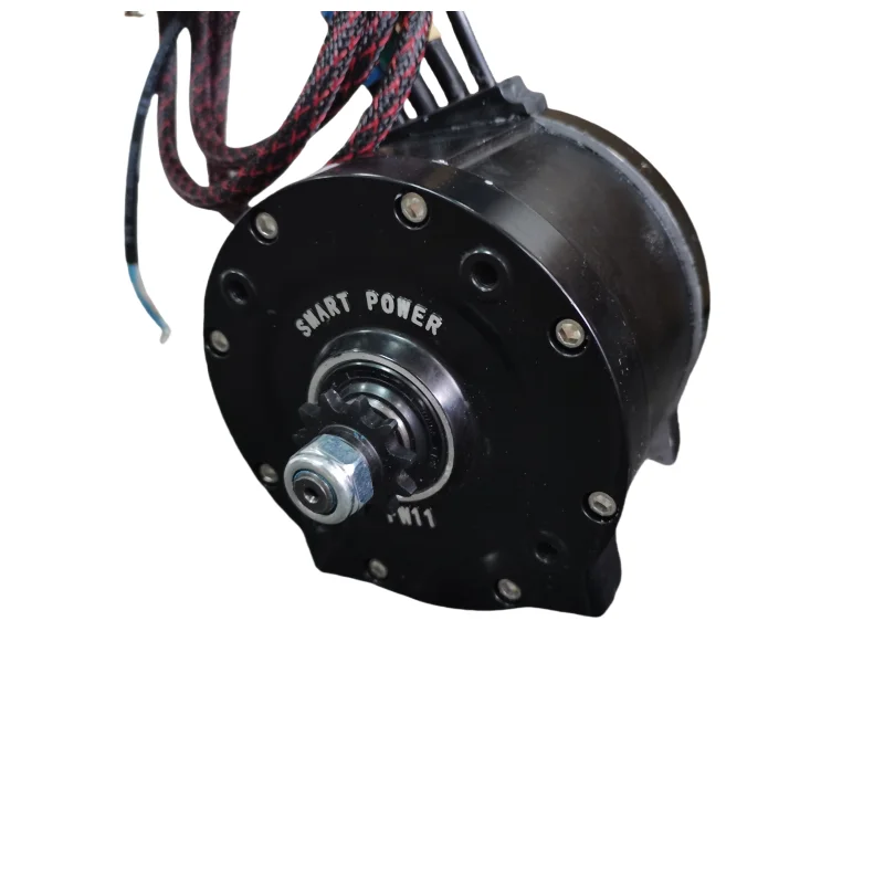 미니 FW11 72V 2.5kw 모터