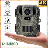 Mini 4K Hunting Trail Camera Mini800 48MP 1080P Wildlife Low Glow Arction Camera Night Vision Surveillance Tracking Photo Traps