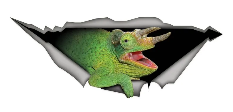 Green Chameleon car decal, reptile decal, funny chameleon sticker