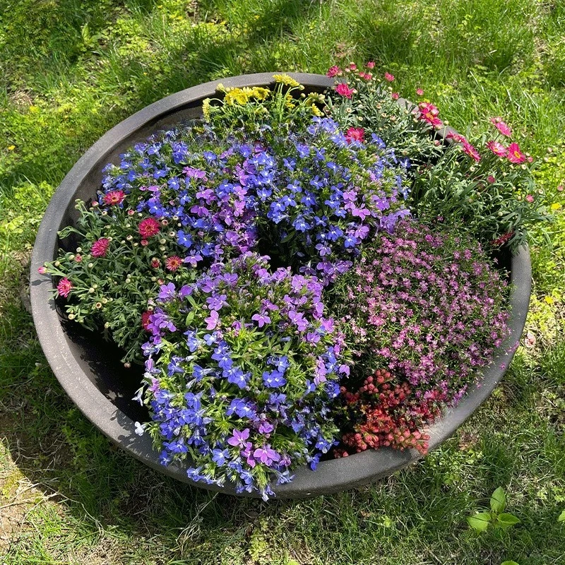 Large flower bowl platter, oversized pot, shallow , open , large bowl pot, round flower box, landscape, large mouth pot, s
