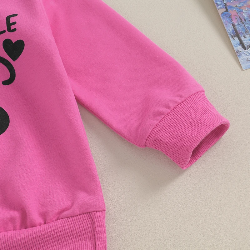 

Baby Girl Spring Outfits Long Sleeve Big Little Sis Letters Heart Print Hooded Sweatshirt Jogger Pants Set