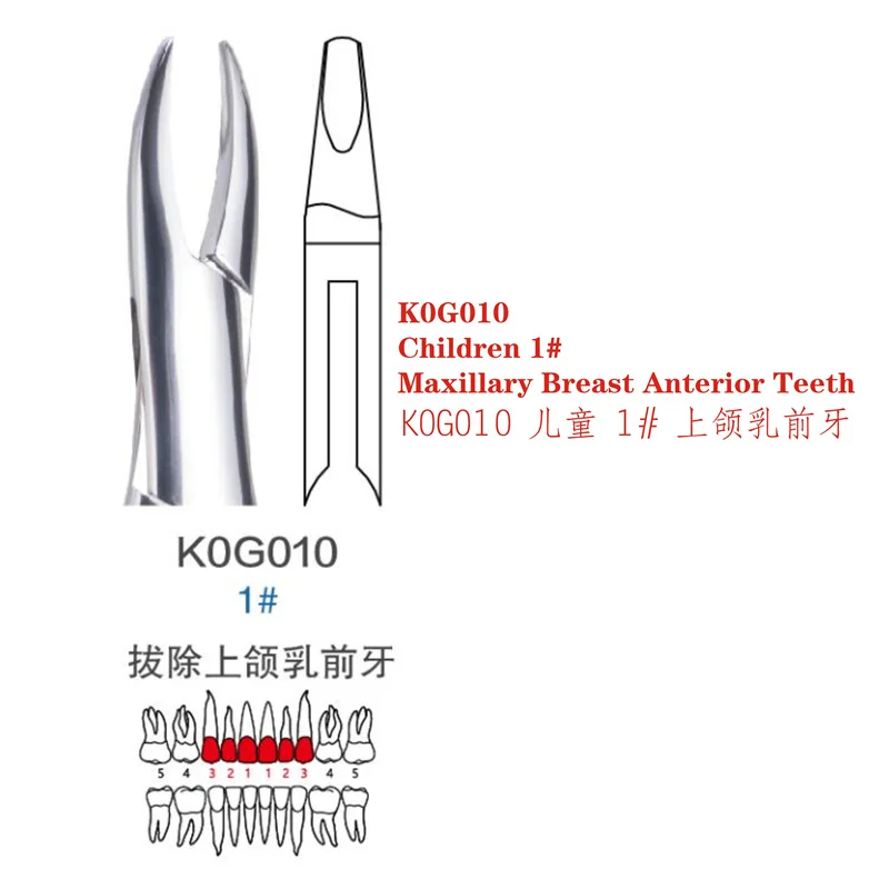

Golden Bell Stainless Steel Children's Teeth Extraction Elimination Bad Teeth Extraction Dental Material Oral Mechanics Pliers