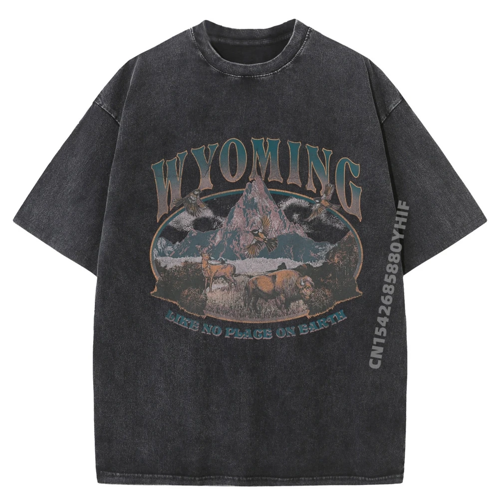 

Earth Day Wyoming Like No Place On Earth Mountain Scene Summer Clothes Aesthetic Free Shipping Clothes Washed Tops T Shirt