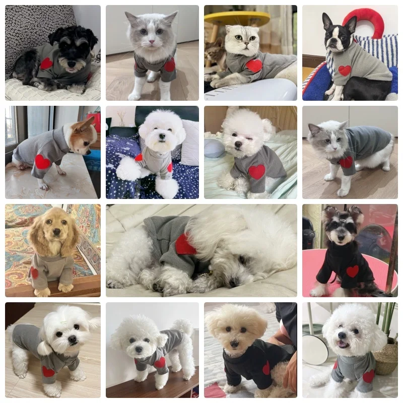 Fashion Dog Hoodies Autumn Dog Clothes for Small Dogs Cute Solid Puppy Sweater Soft Cat Hoodies Pet Sweatshirt Chihuahua Clothes