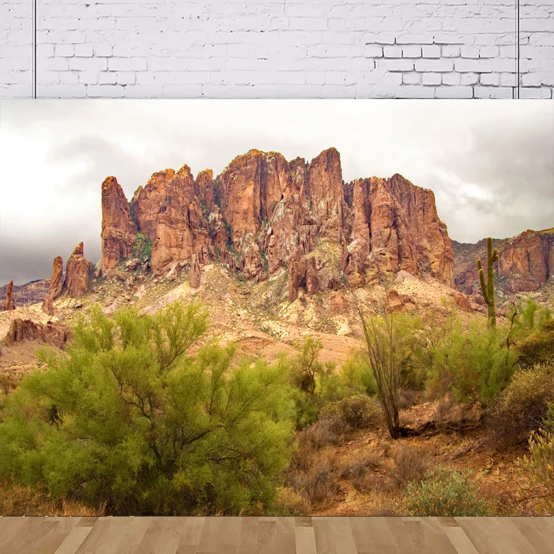 Фон для фотосъемки пустынный песок, дюна, кактус, Мексика, скальные горы, закат, природный пейзаж, фон для домашней вечеринки, стены