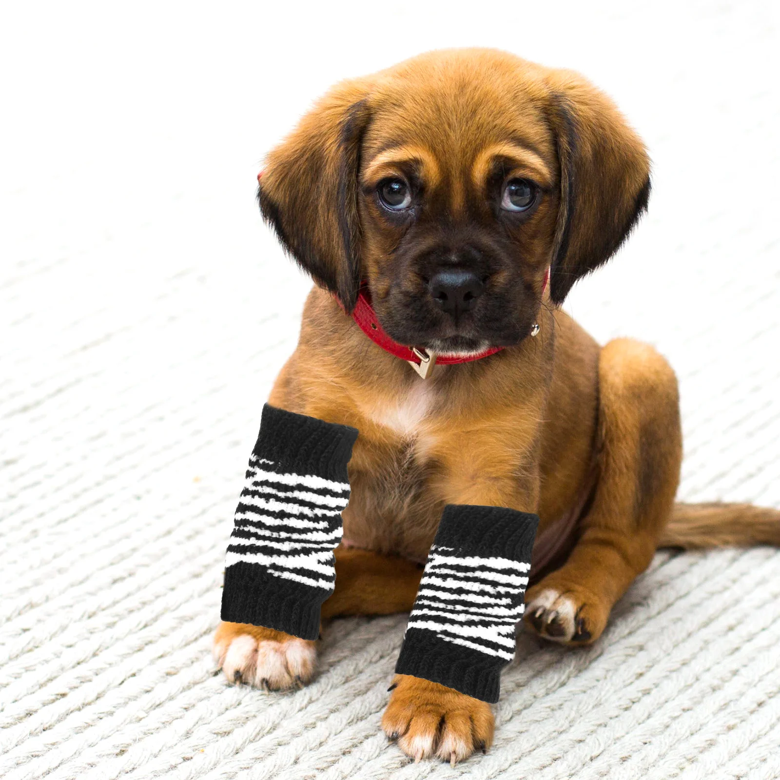 

Dog Leg Sleeve Pet Anti-dirty Leggings Cover Cotton Compression Sock Dogs Warmers for