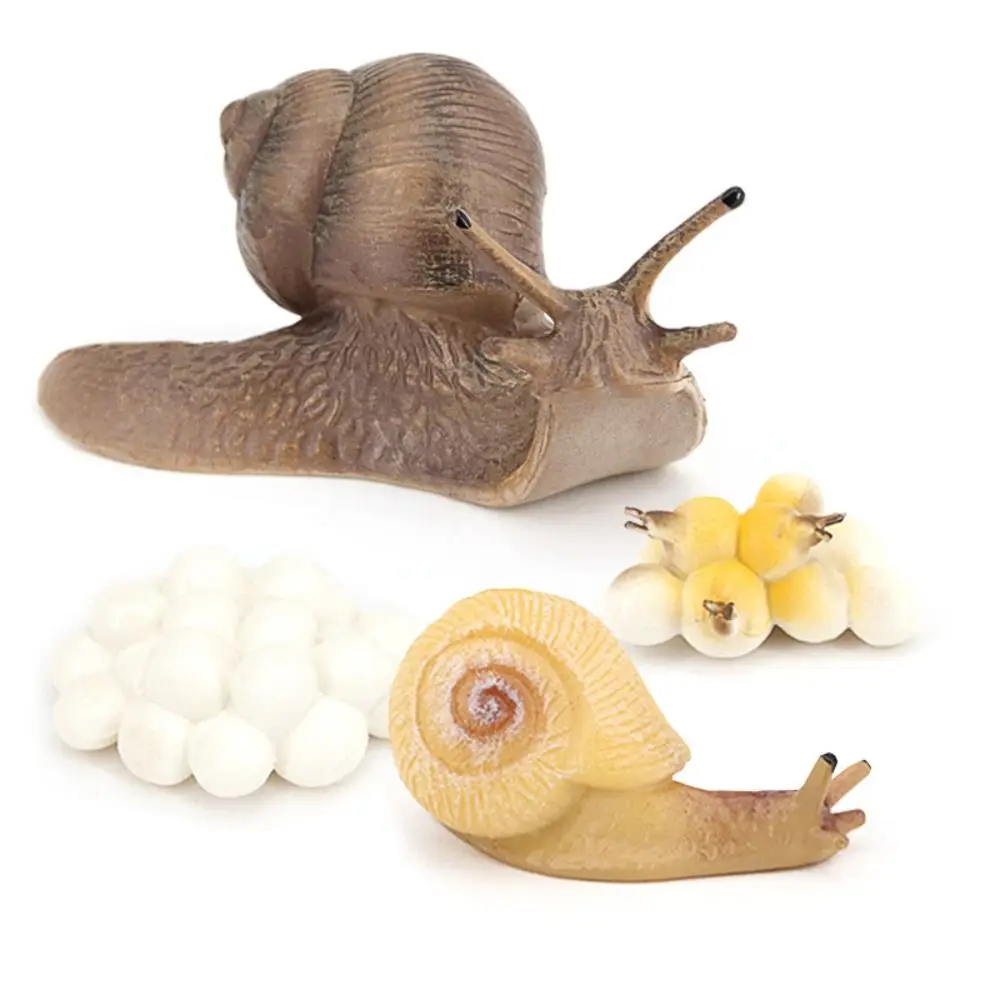 Delicate Solid Education Children's Cognitive Micro Landscape Garden Decoration Simulation Insect Snail Model Snail Statue