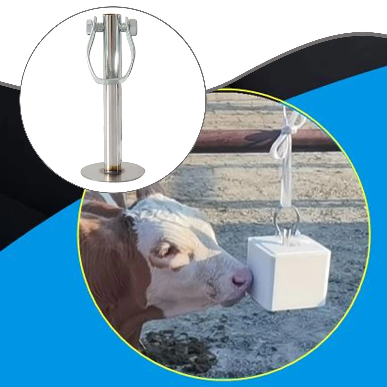 Fixed Brick Holder, Brick Rack, Farm Equipment Sheep Block Bracket, Stainless Steel for Farm Animal