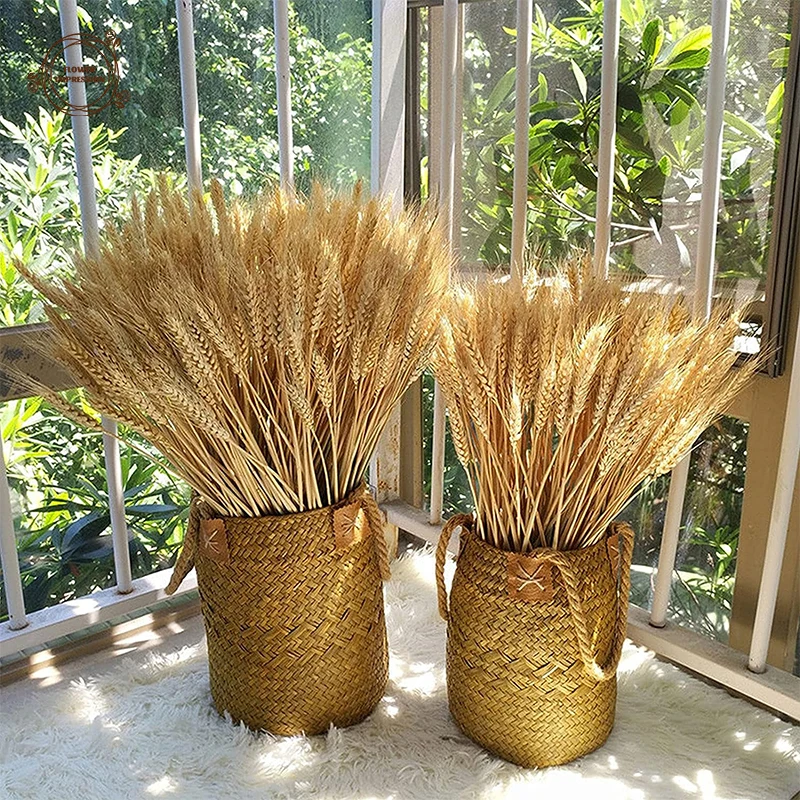 Dried Flowers Dry Wheat Spikes for Decoration Bouquet Boho Home Tables Wedding Party Fireplace Decor Natural Preserved Plants