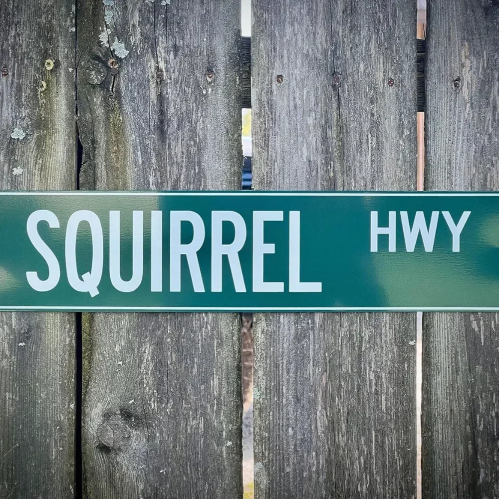 

Customized Green Road Sign,Transformed into Personalized Novelty Street Sign with Custom Address/Name.Perfect Home/Office Decor