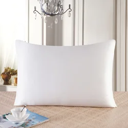 25 Momme 100% Natural Mulberry Silk Pillowcase,Both Sided Pure Silk Pillow Cover Gifts for Women,Pure Silk Pillowcsae For Hair
