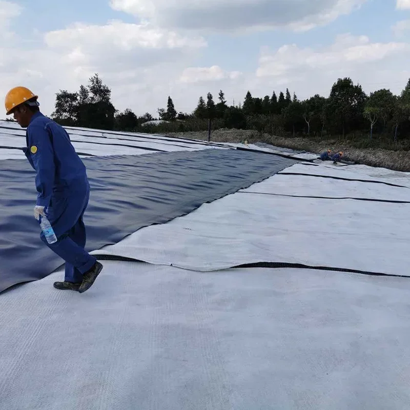 【Best-selling】Factory Price Pet/PP Eco-Friendly Long Fiber Non Woven Fabric Geotextile N-eedle Punched Geo Textile for Sand