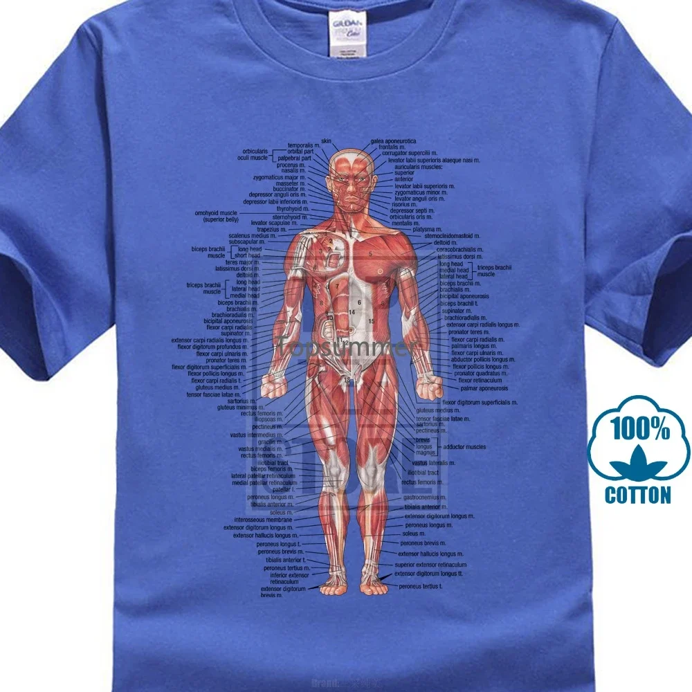 

Футболка с мышечной системой, анатомическая биология, анатомия, медицинская новая брендовая одежда с круглым вырезом и короткими рукавами для мальчиков, хлопковая мужская забавная футболка