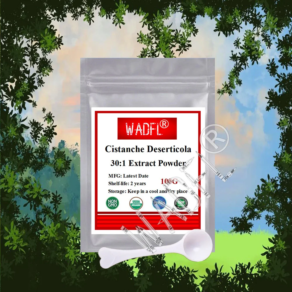 Factory Direct Sales Customizable Sub Packaging 50g-1000g 30:1Cistanche Deserticola Extract Global Buyer Recommendations