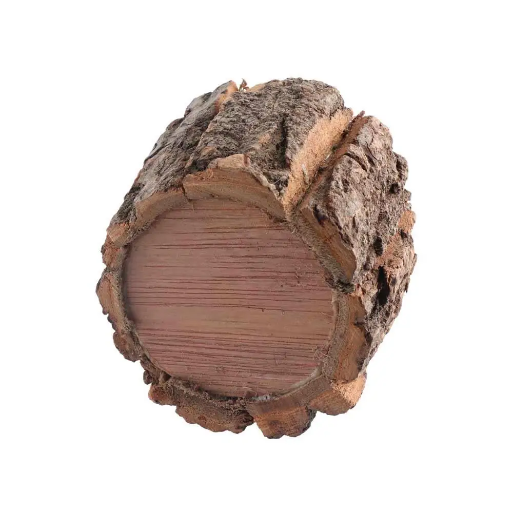 Stationery Storage Wooden Bark Pen Holder Cosmetic Holder Minimalism Desktop Organizer Multifunctional Stationery Box School