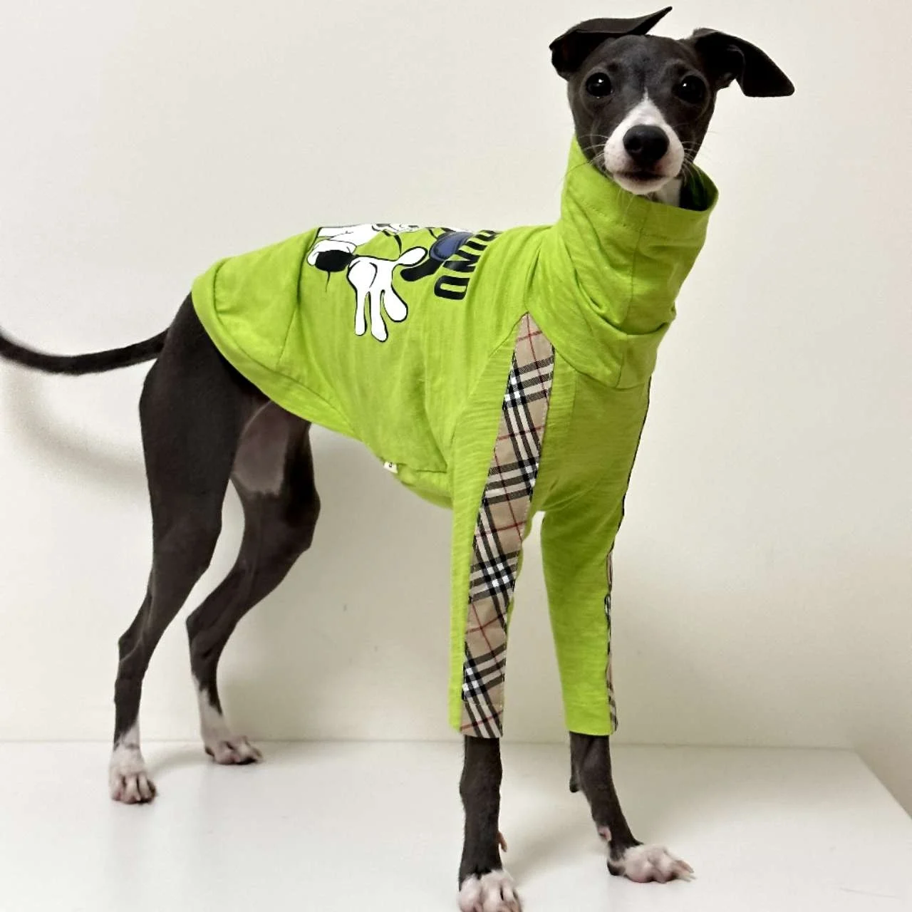 

Fashion Greyhound Cotton T-shirt Breathable Green Cartoon Dog Vest in Autumn Spring Pet Pullover for Small Medium Large Dogs