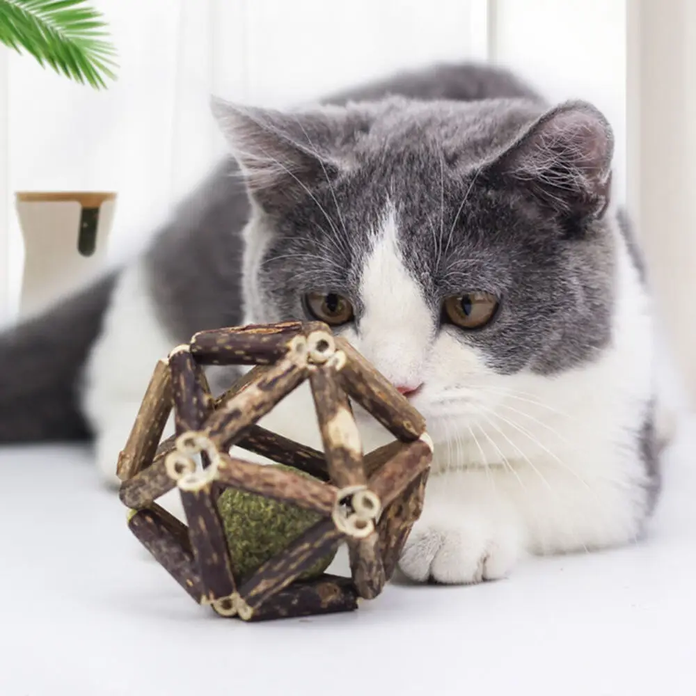 Bola de catnip com sino, brinquedo para gato, bastão para gato de autoentretenimento, bastão de dentição, suprimentos para brinquedos para gatos