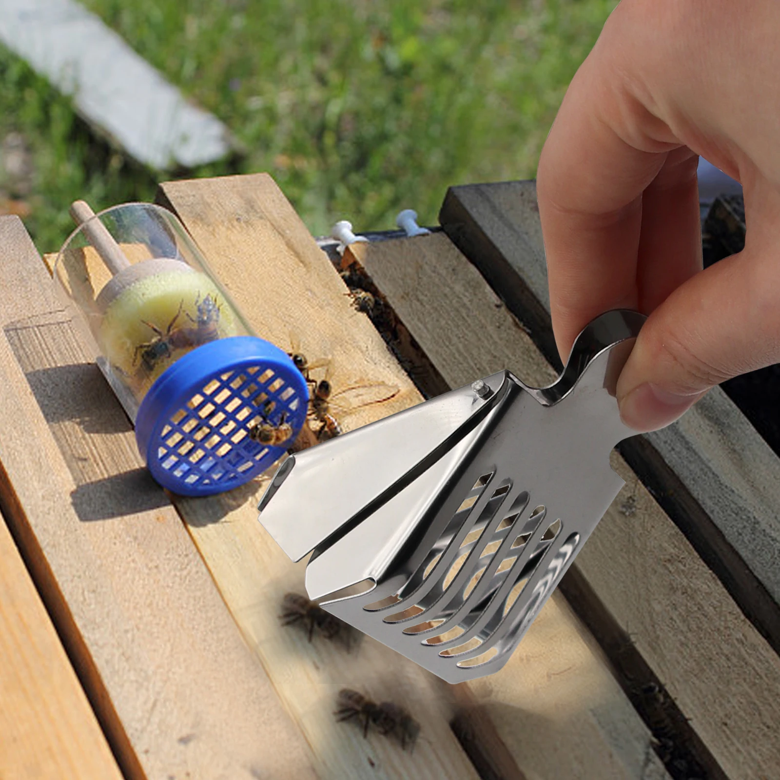 5/10PCS Stainless Bee Queen Catcher Clip Beekeeping Equipment Beekeeper Equip Isolation Room Beekeeper Apiculture Tool
