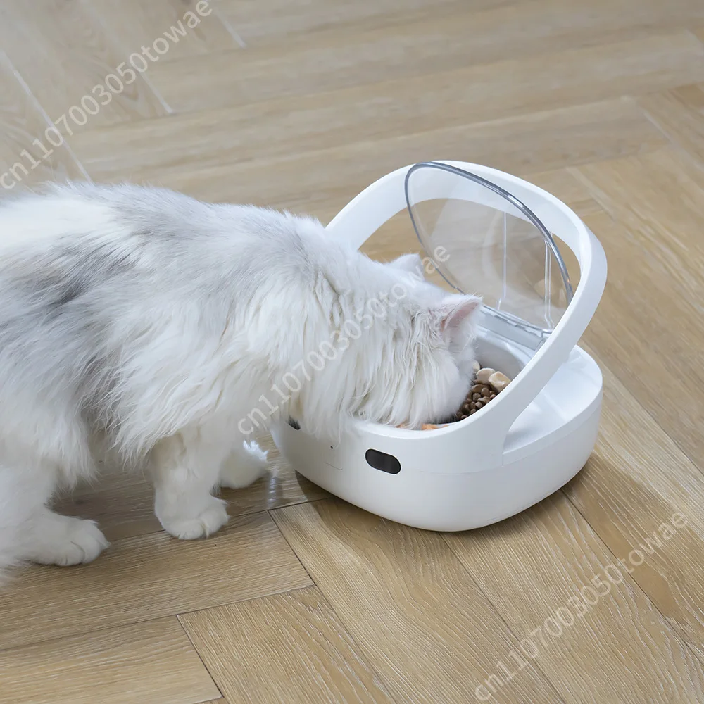 Smart Pet Feeder Precisely Feeds cat and Dog Food to Prevent Unauthorized Eating Order with One Click