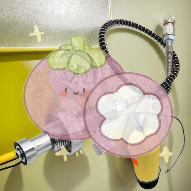 

6000psi/400bar HPA Stainless Steel DIN G5/8 Fill Station Adaptor for Diving; High-Quality Air Valve with 50cm Hose