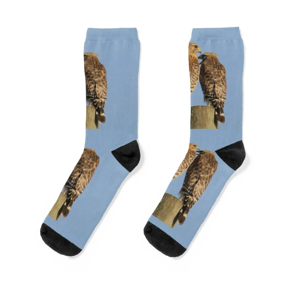 

Sing for me - Two hawks Socks Run colored set new year Socks Ladies Men's